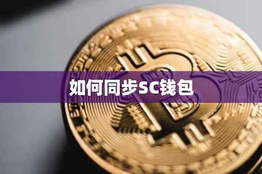 如何同步SC钱包