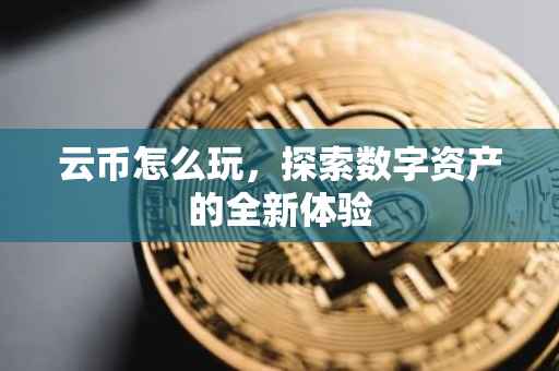云币怎么玩，探索数字资产的全新体验
