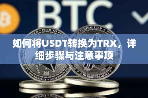 如何将USDT转换为TRX，详细步骤与注意事项