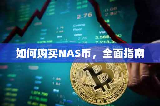 如何购买NAS币，全面指南