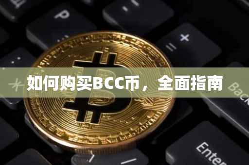 如何购买BCC币，全面指南