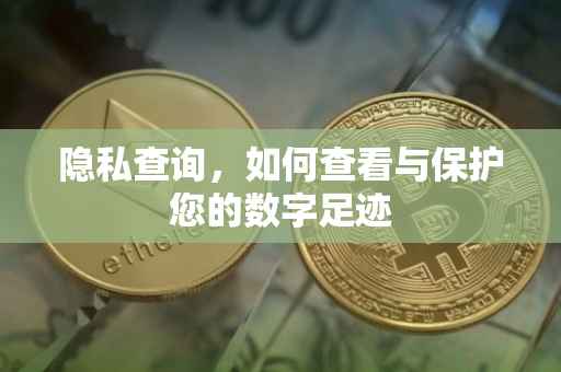 隐私查询，如何查看与保护您的数字足迹