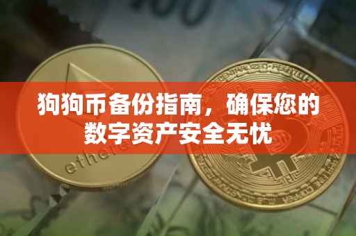 狗狗币备份指南，确保您的数字资产安全无忧