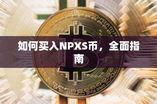 如何买入NPXS币，全面指南