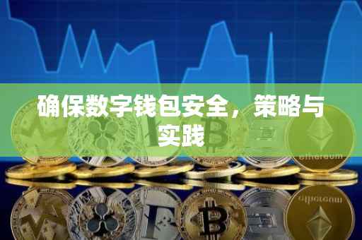 确保数字钱包安全，策略与实践