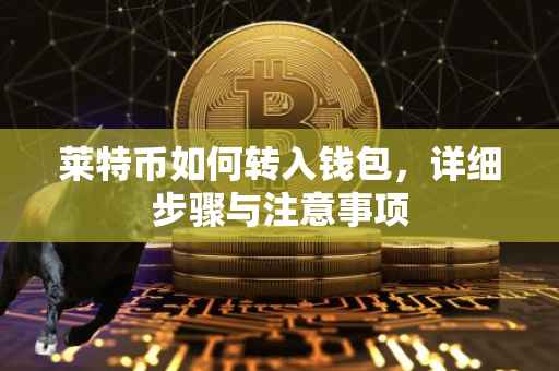 莱特币如何转入钱包，详细步骤与注意事项