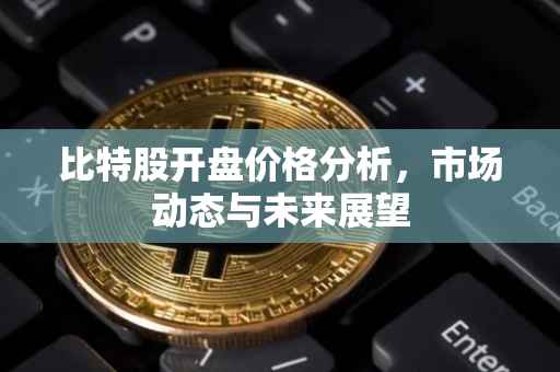 比特股开盘价格分析，市场动态与未来展望