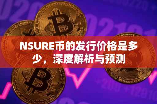 NSURE币的发行价格是多少，深度解析与预测