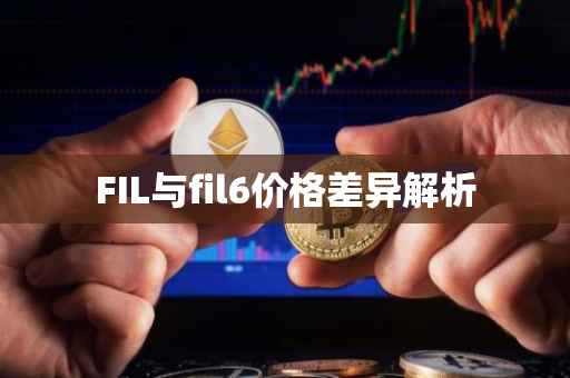 FIL与fil6价格差异解析