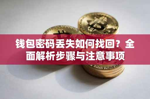 钱包密码丢失如何找回？全面解析步骤与注意事项