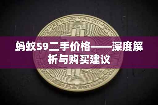 蚂蚁S9二手价格——深度解析与购买建议