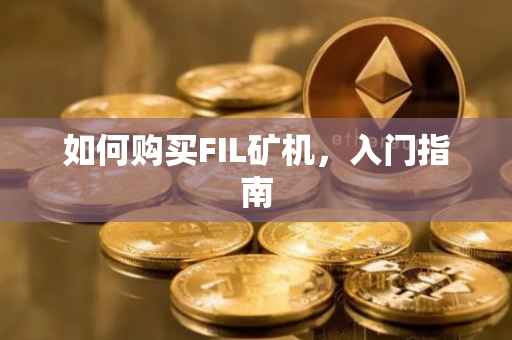 如何购买FIL矿机，入门指南