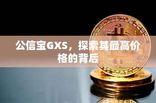 公信宝GXS，探索其最高价格的背后