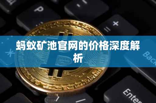 蚂蚁矿池官网的价格深度解析