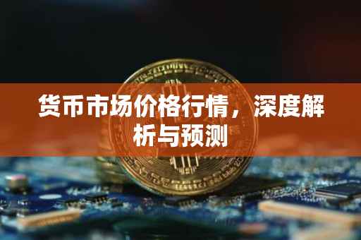 货币市场价格行情，深度解析与预测