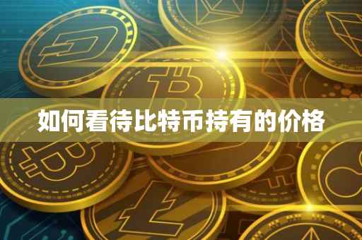 如何看待比特币持有的价格