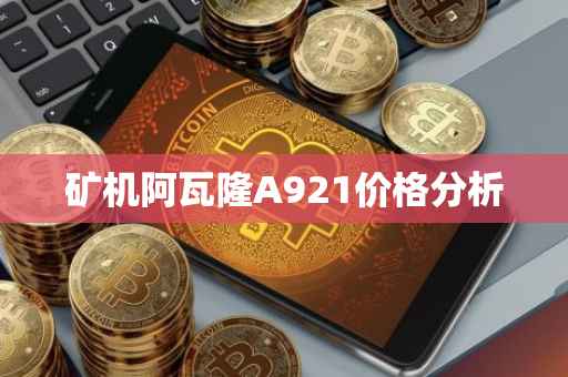 矿机阿瓦隆A921价格分析