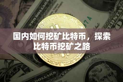 国内如何挖矿比特币，探索比特币挖矿之路