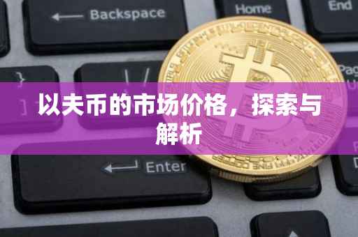 以夫币的市场价格，探索与解析