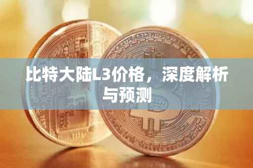 比特大陆L3价格，深度解析与预测