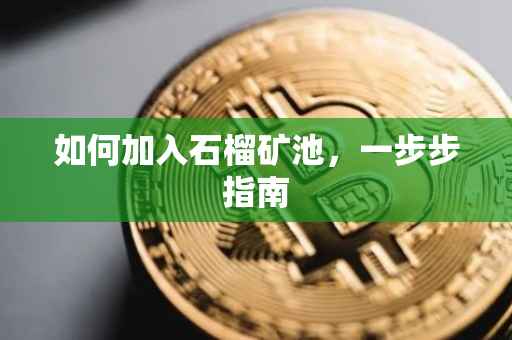 如何加入石榴矿池，一步步指南
