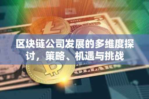区块链公司发展的多维度探讨，策略、机遇与挑战