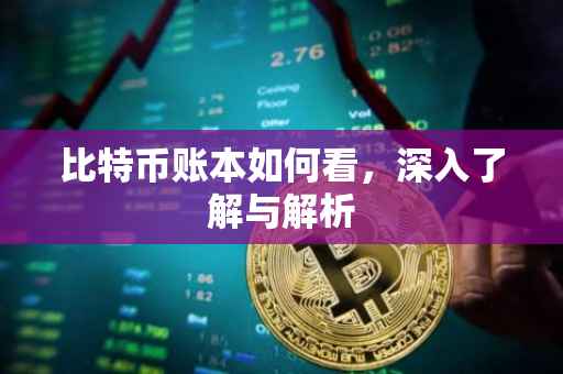 比特币账本如何看，深入了解与解析