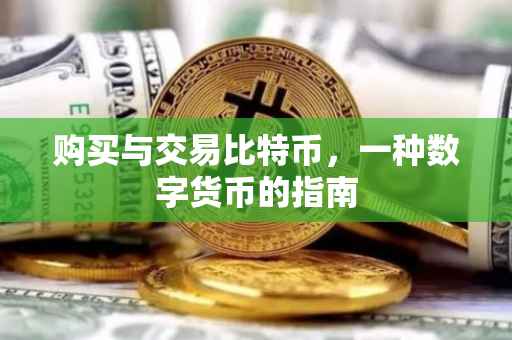 购买与交易比特币，一种数字货币的指南