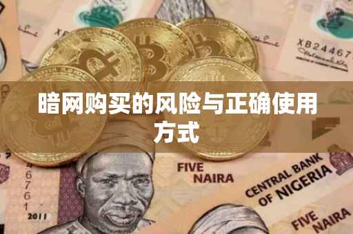 暗网购买的风险与正确使用方式