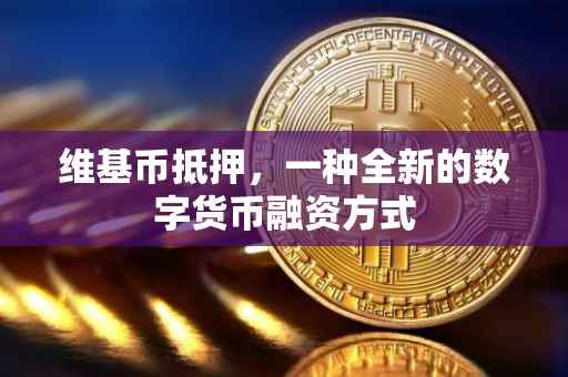 维基币抵押，一种全新的数字货币融资方式