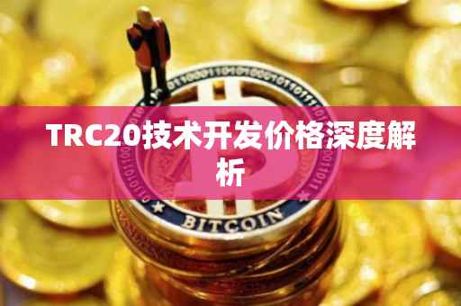 TRC20技术开发价格深度解析