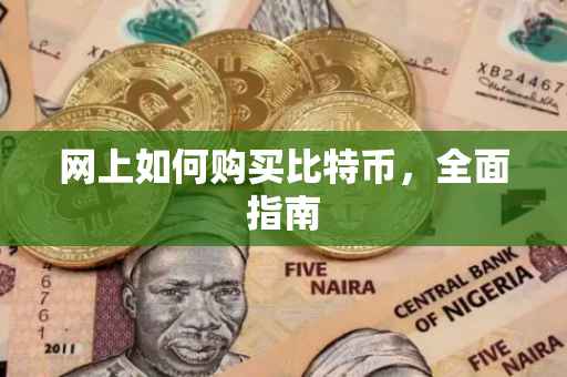 网上如何购买比特币，全面指南