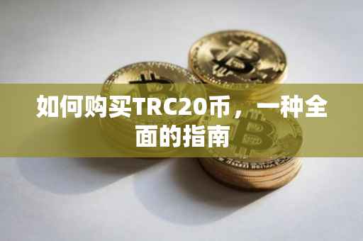 如何购买TRC20币，一种全面的指南