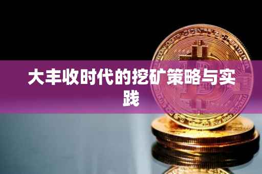 大丰收时代的挖矿策略与实践