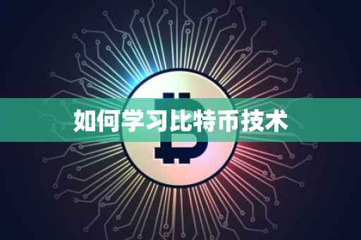 如何学习比特币技术