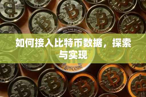 如何接入比特币数据，探索与实现