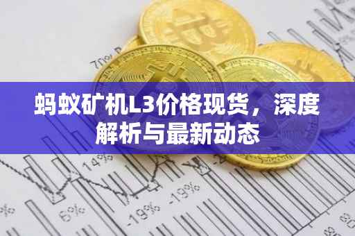 蚂蚁矿机L3价格现货，深度解析与最新动态