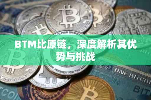 BTM比原链，深度解析其优势与挑战
