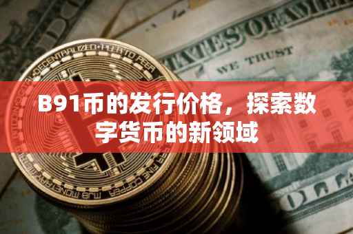 B91币的发行价格，探索数字货币的新领域