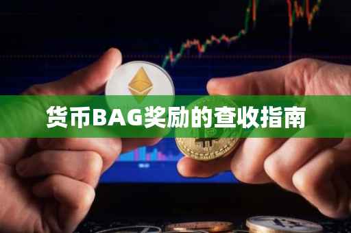 货币BAG奖励的查收指南