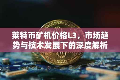 莱特币矿机价格L3，市场趋势与技术发展下的深度解析
