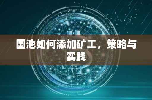 国池如何添加矿工，策略与实践