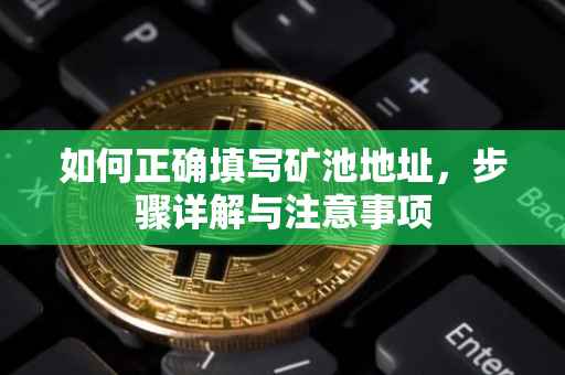 如何正确填写矿池地址，步骤详解与注意事项
