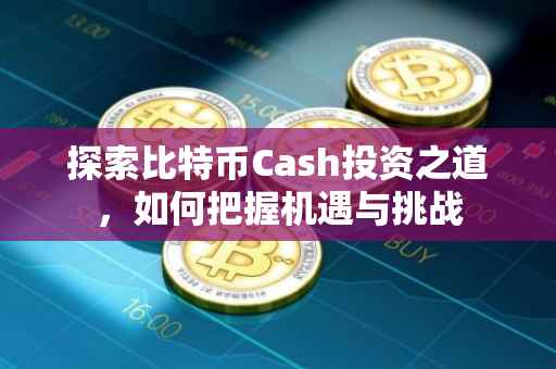 探索比特币Cash投资之道，如何把握机遇与挑战