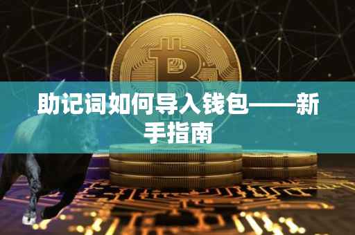 助记词如何导入钱包——新手指南