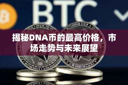 揭秘DNA币的最高价格，市场走势与未来展望