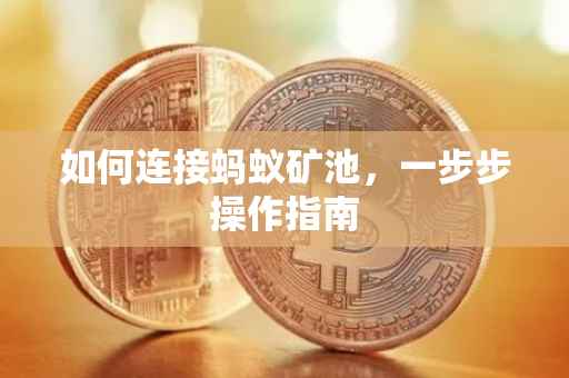 如何连接蚂蚁矿池，一步步操作指南