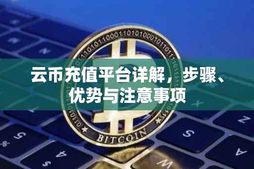 云币充值平台详解，步骤、优势与注意事项