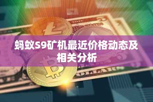 蚂蚁S9矿机最近价格动态及相关分析