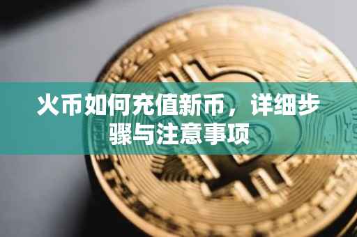 火币如何充值新币，详细步骤与注意事项